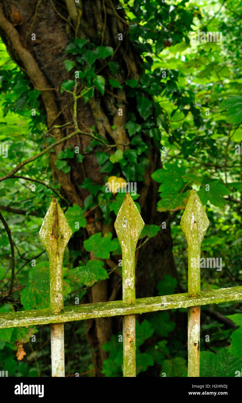 vecchia ringhiera Foto Stock