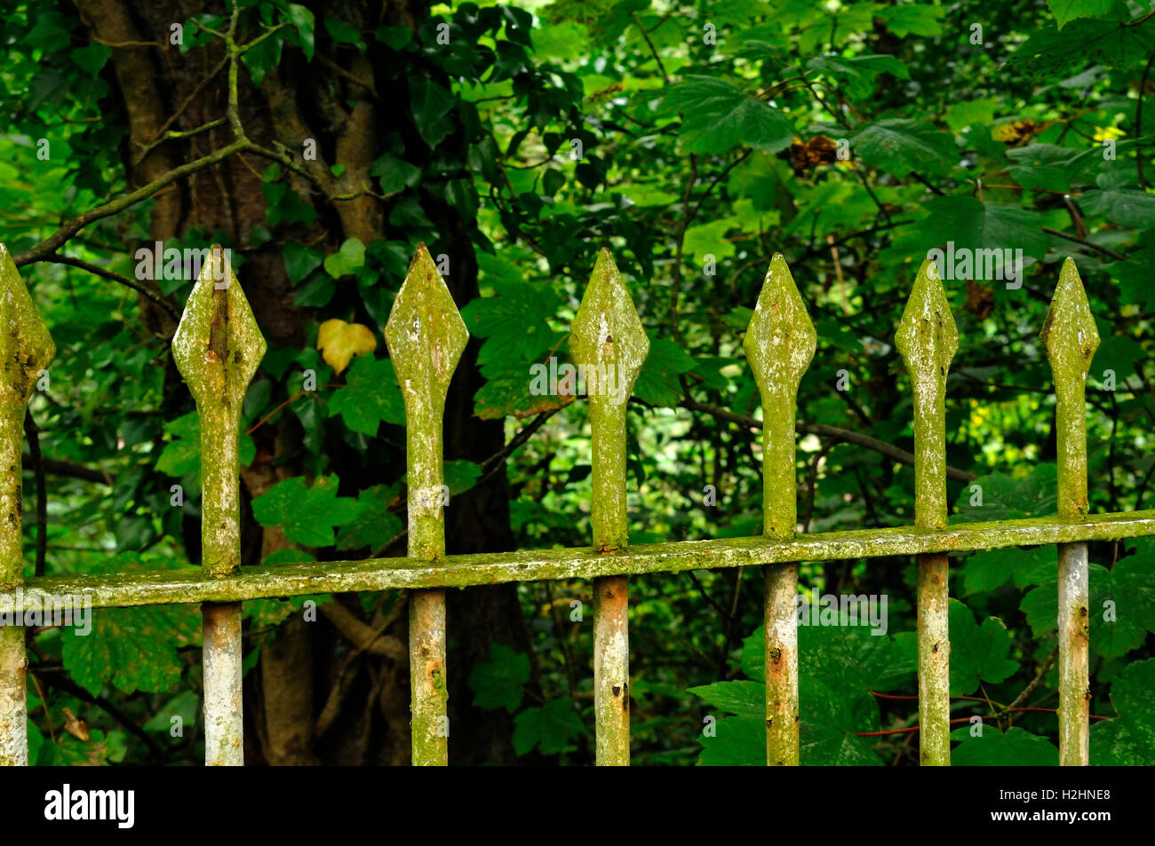vecchia ringhiera Foto Stock