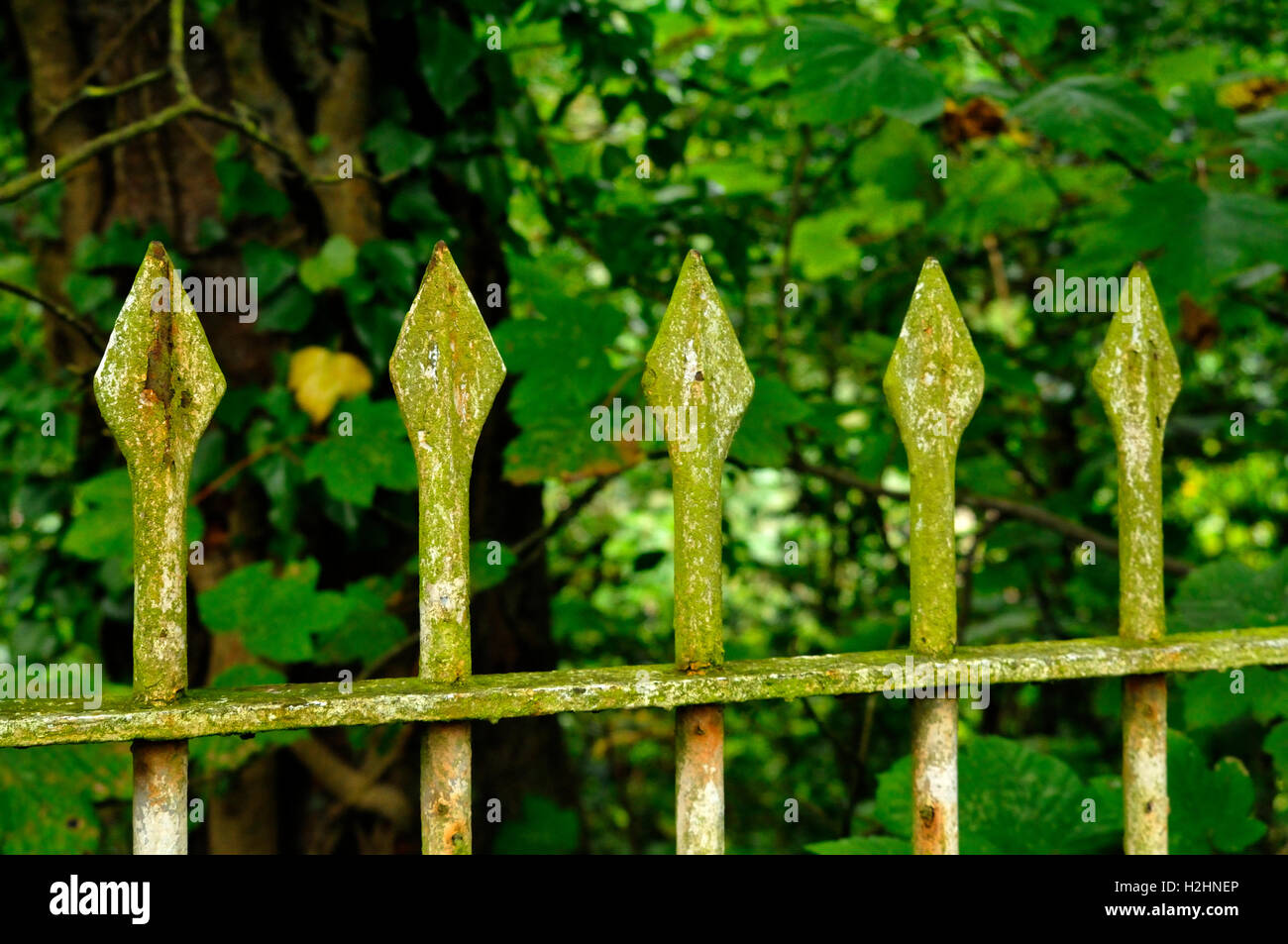 vecchia ringhiera Foto Stock