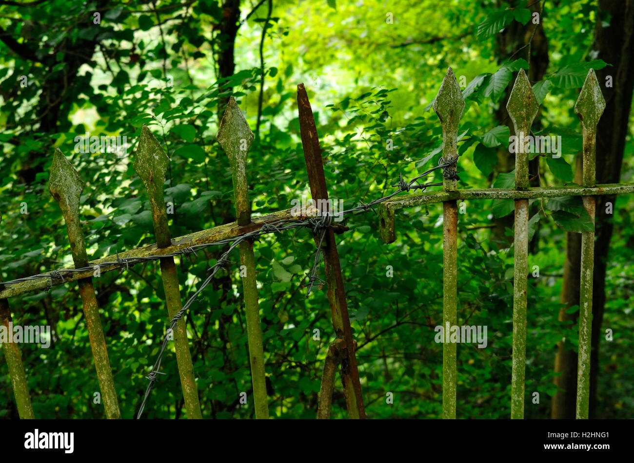 vecchia ringhiera Foto Stock