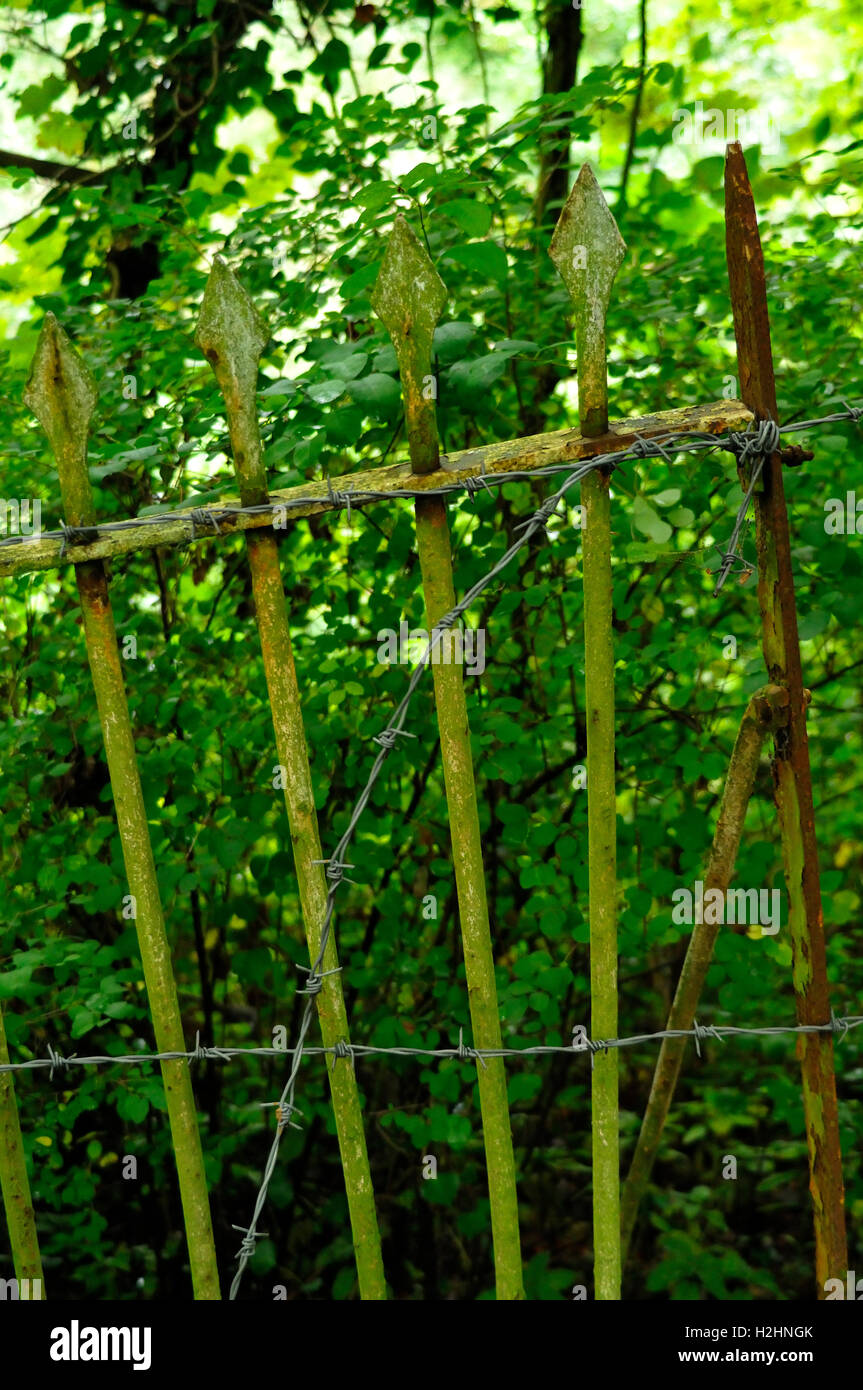 vecchia ringhiera Foto Stock