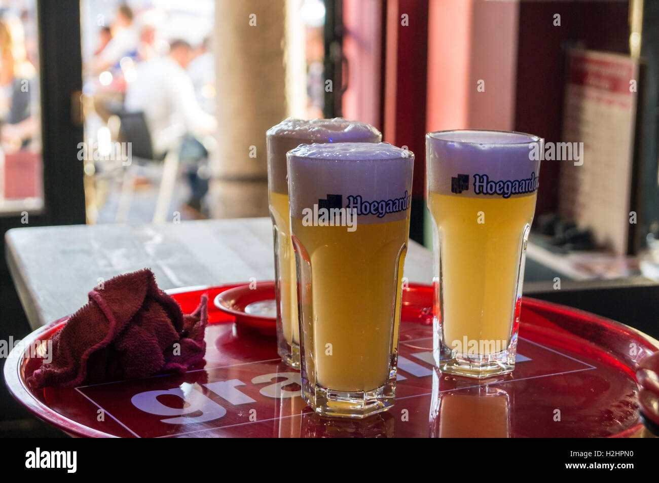 Tre Bicchieri di Hoegaarden belga della birra di grano su un vassoio, Couleur Café bar, Place des Héros, Arras, Pas-de-Calais, Hauts de France, Francia Foto Stock