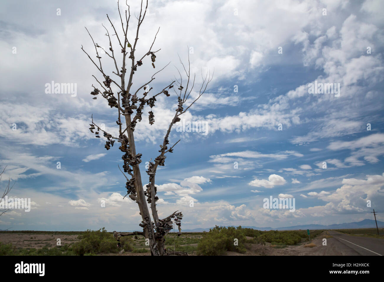 Hinckley, Utah - decine di coppie di pattini appendere in un albero a fianco della US Highway 6. Foto Stock