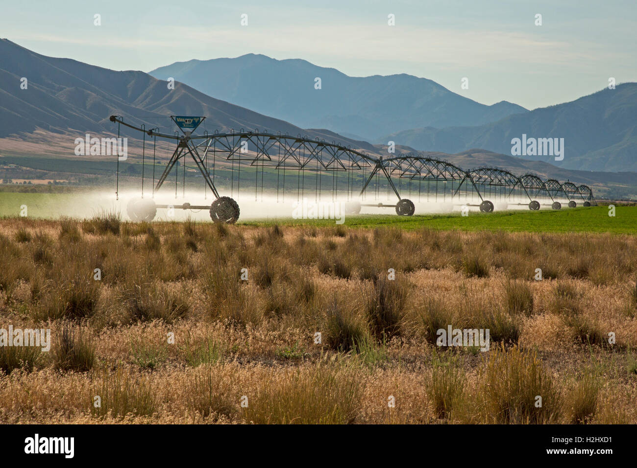 Elberta, Utah - Irrigration in un agriturismo gestito dalla Chiesa Mormone Utah vicino lago. Foto Stock