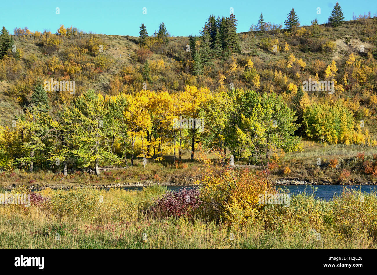 I colori dell'Autunno lungo la riva del fiume Foto Stock