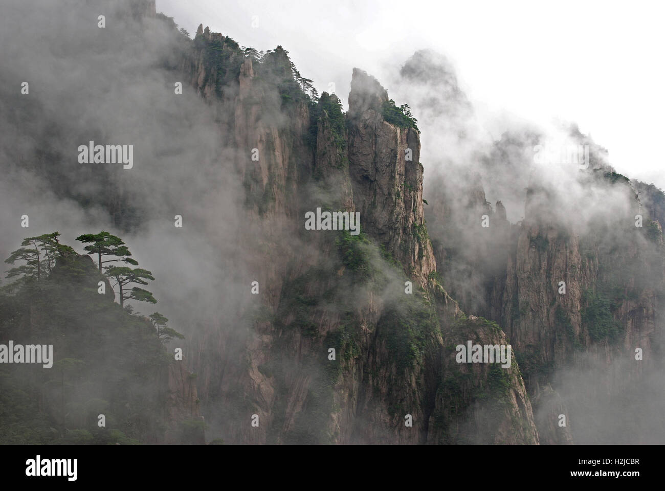 A metà pomeriggio sole dissipa le nubi nel Xihai gola delle montagne Huangshan. Vista dal cloud fugare Pavilion. Foto Stock
