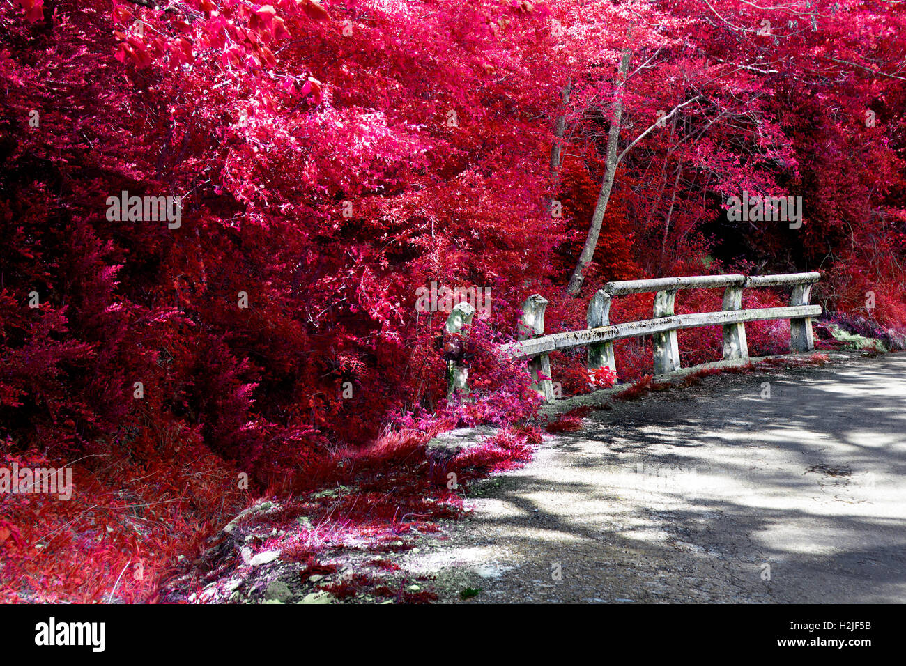 Su strada e la natura in autunno.Fossato e recinto di circolazione su strada Foto Stock