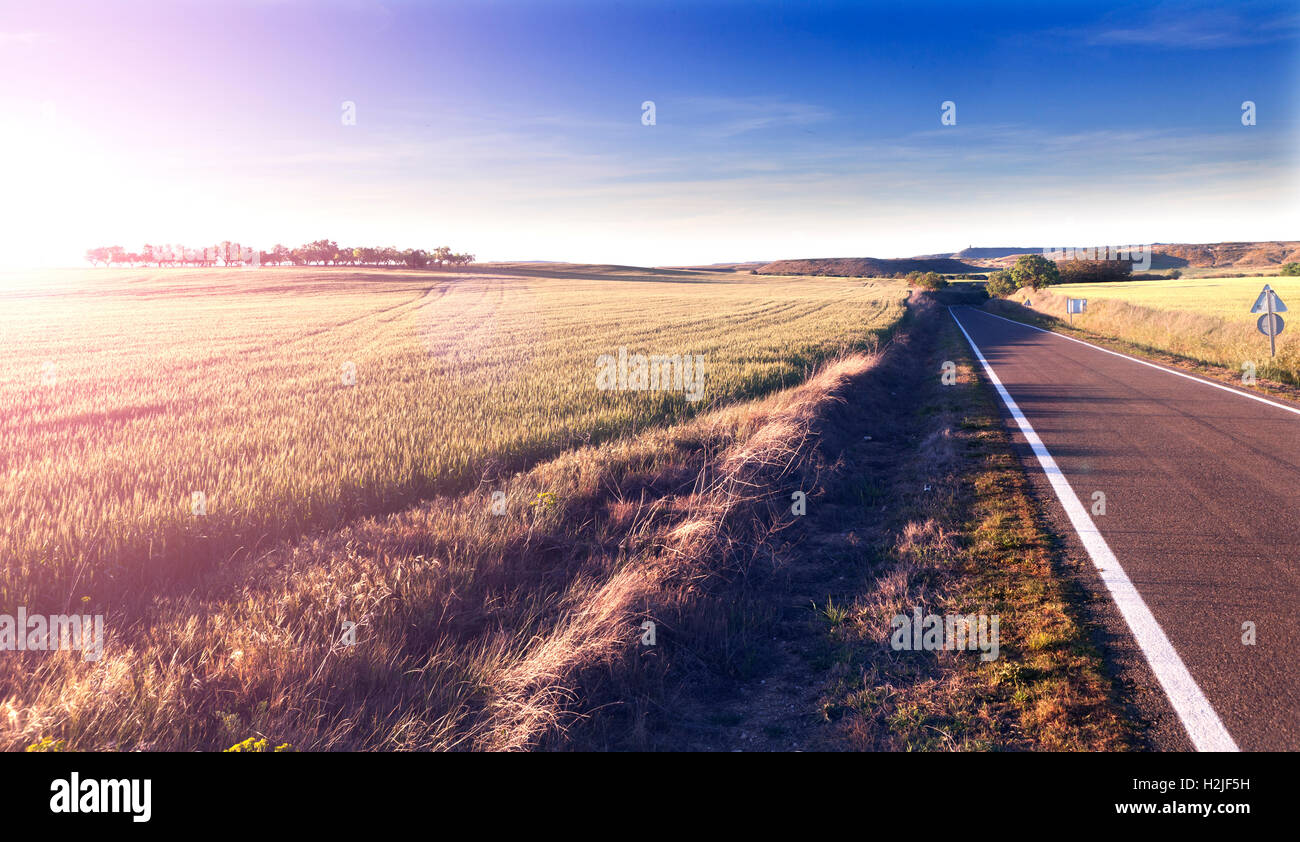 Avventure e i viaggi su strada.il tramonto e il concetto di viaggio.Road e campi Foto Stock