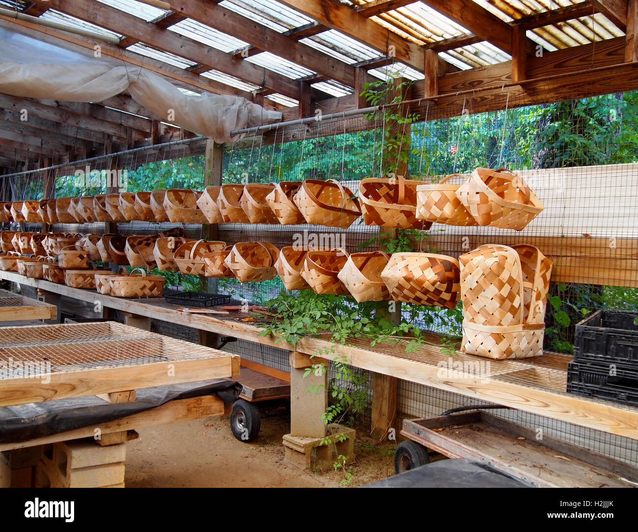 Righe di nuovo tessuto cesti sulle pareti ruvide e scaffali in legno di un rustico rurale, open air workshop. Foto Stock