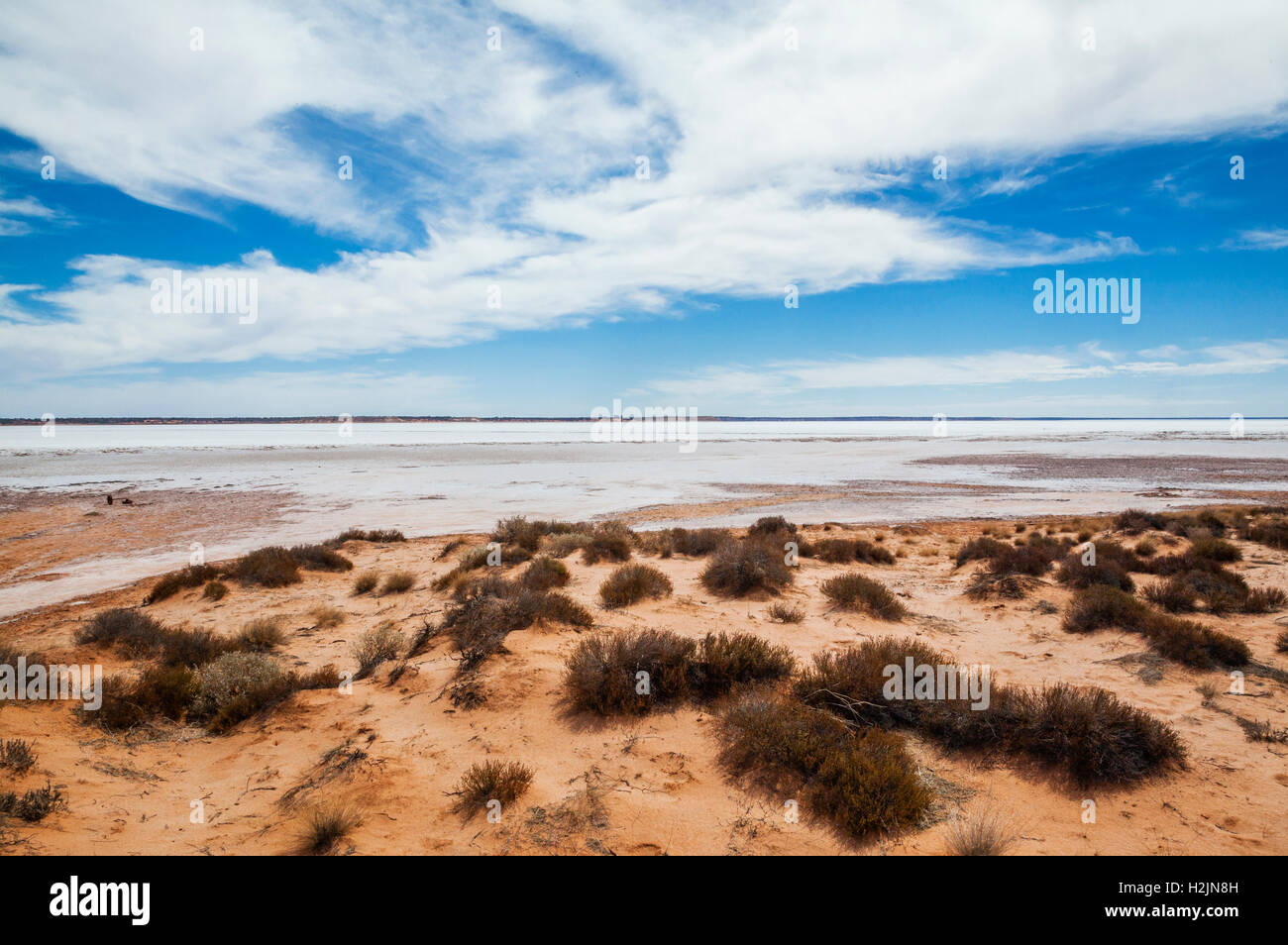 Vista sul lago di Hart, un sale lago vicino la Stuart Highway, Sud Australia Foto Stock