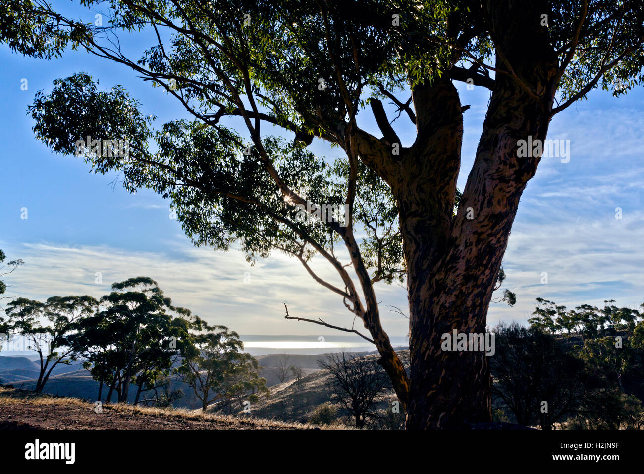 Vista di Spencer Gulf da Hancock's Lookout vicino a Wilmington, Sud Australia Foto Stock