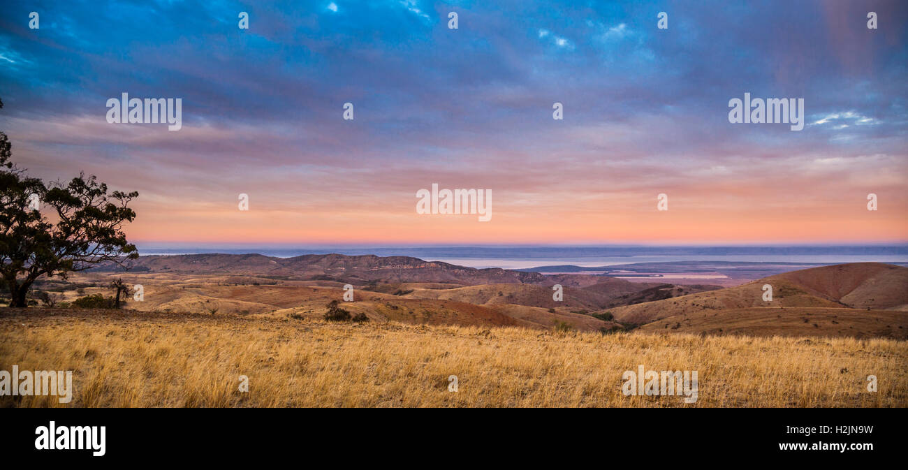 Alba a Spencer Gulf visto da Hancock's Lookout, vicino a Wilmington South Australia Foto Stock