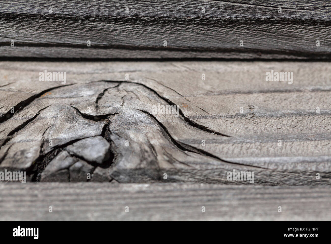 Nodo in legno. Foto Stock