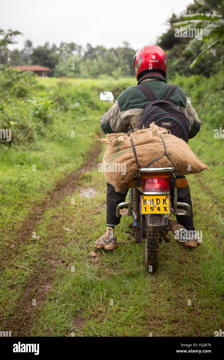 Motocicli sono utilizzati per il trasporto dei prodotti agricoli dopo il raccolto nella contea di Kirinyaga, Kenya. Foto Stock