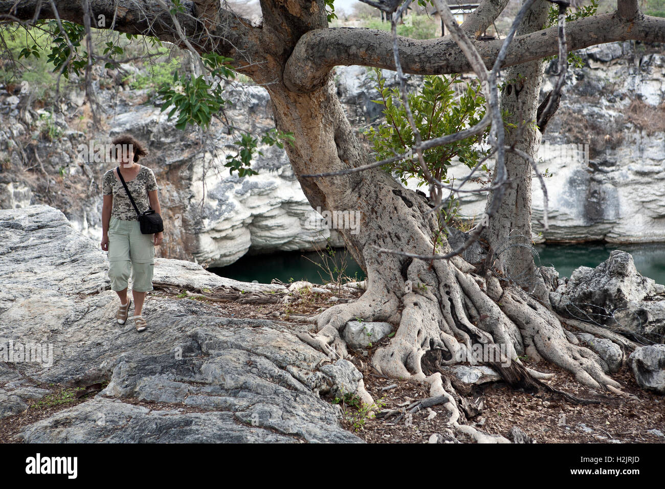 Il lago Otjikoto area della Namibia Foto Stock