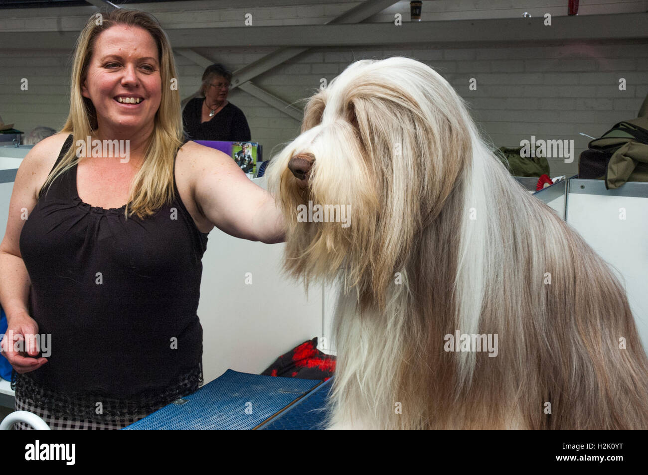 Collie Barbuto con il suo proprietario al Royal Melbourne Show Foto Stock