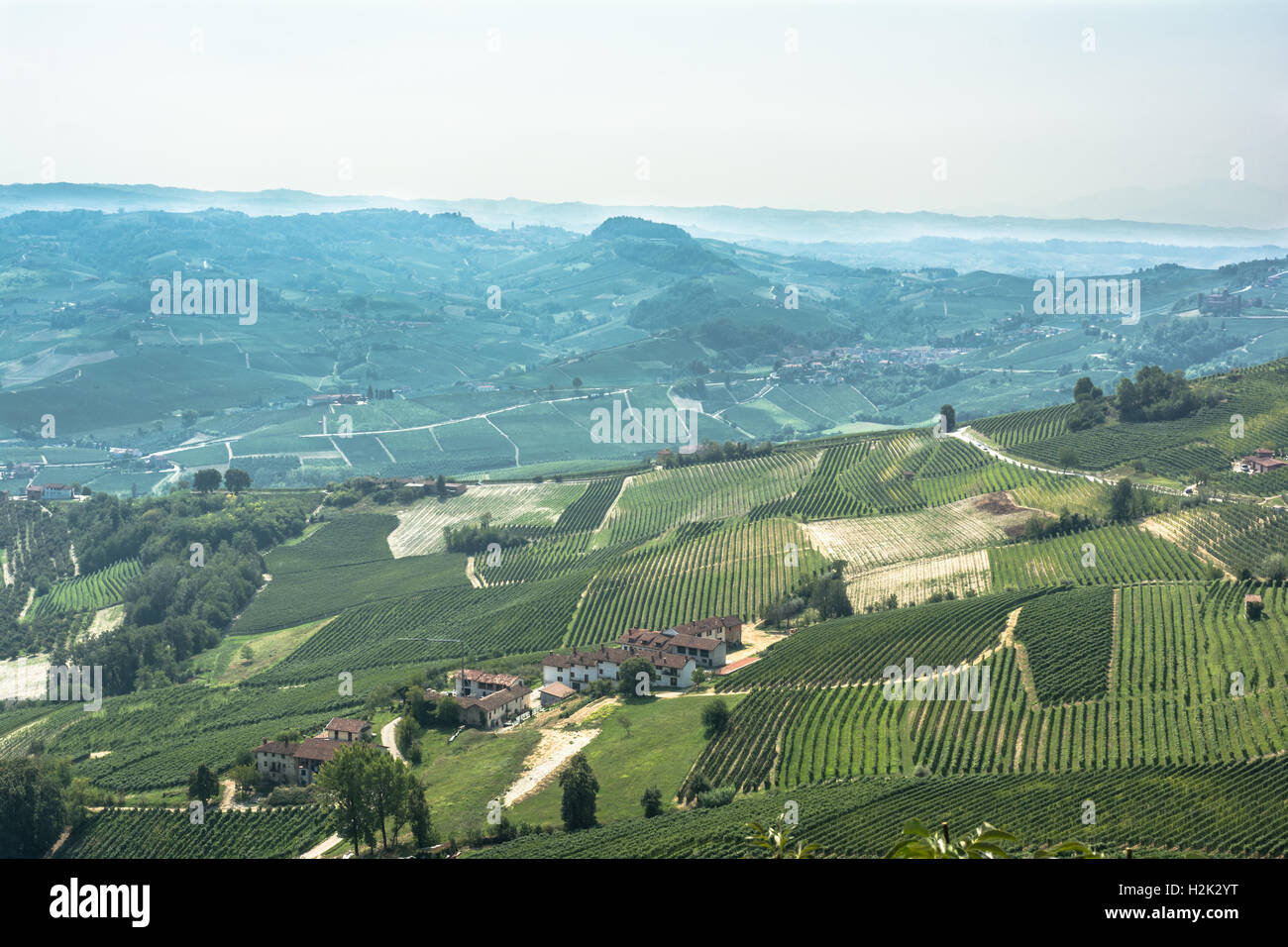 Il paesaggio intorno a La Morra, Alba, Italia Foto Stock