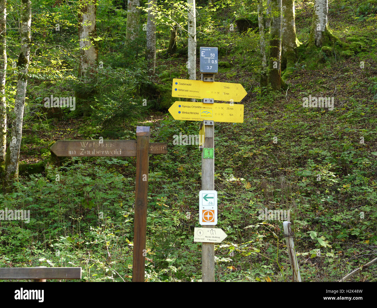 Bavaria Parco Nazionale di Berchtesgaden Ramsau natura prova di apprendimento Ramsauer Ache Europa Germania Foto Stock