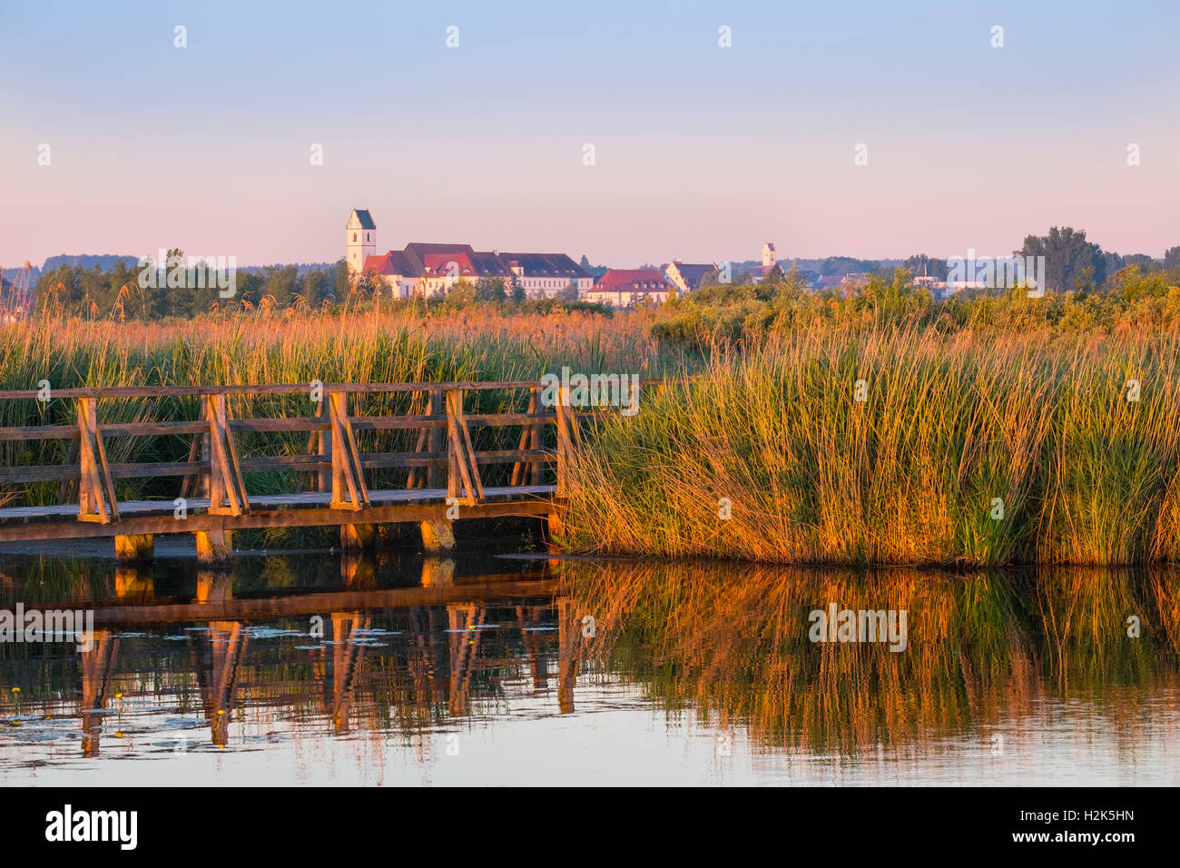 Lago Federsee Bad Buchau con la luce del mattino, lago Federsee moor, Alta Svevia, Svevia, Baden-Württemberg, Germania Foto Stock