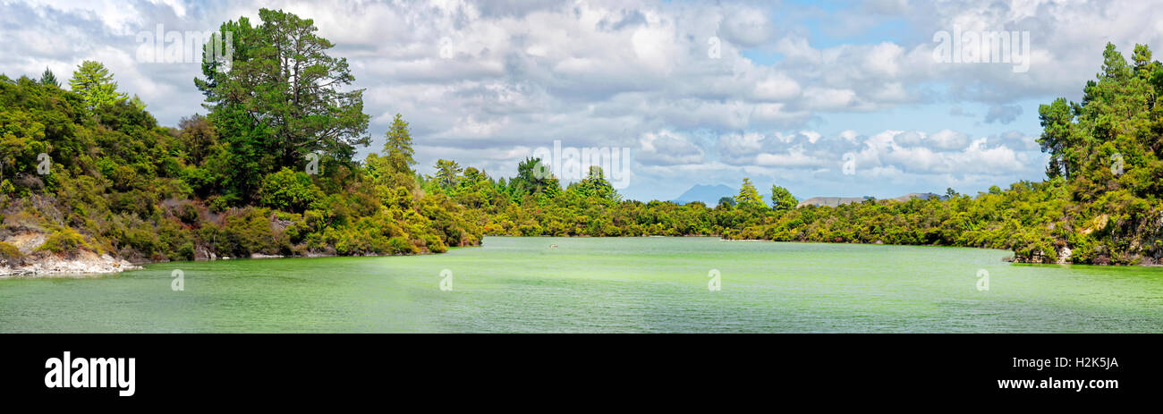 Lago Ngakoro in Wai-O-Tapu zona termale, Waiotapu, Rotoua, regione di Waikato, Nuova Zelanda Foto Stock