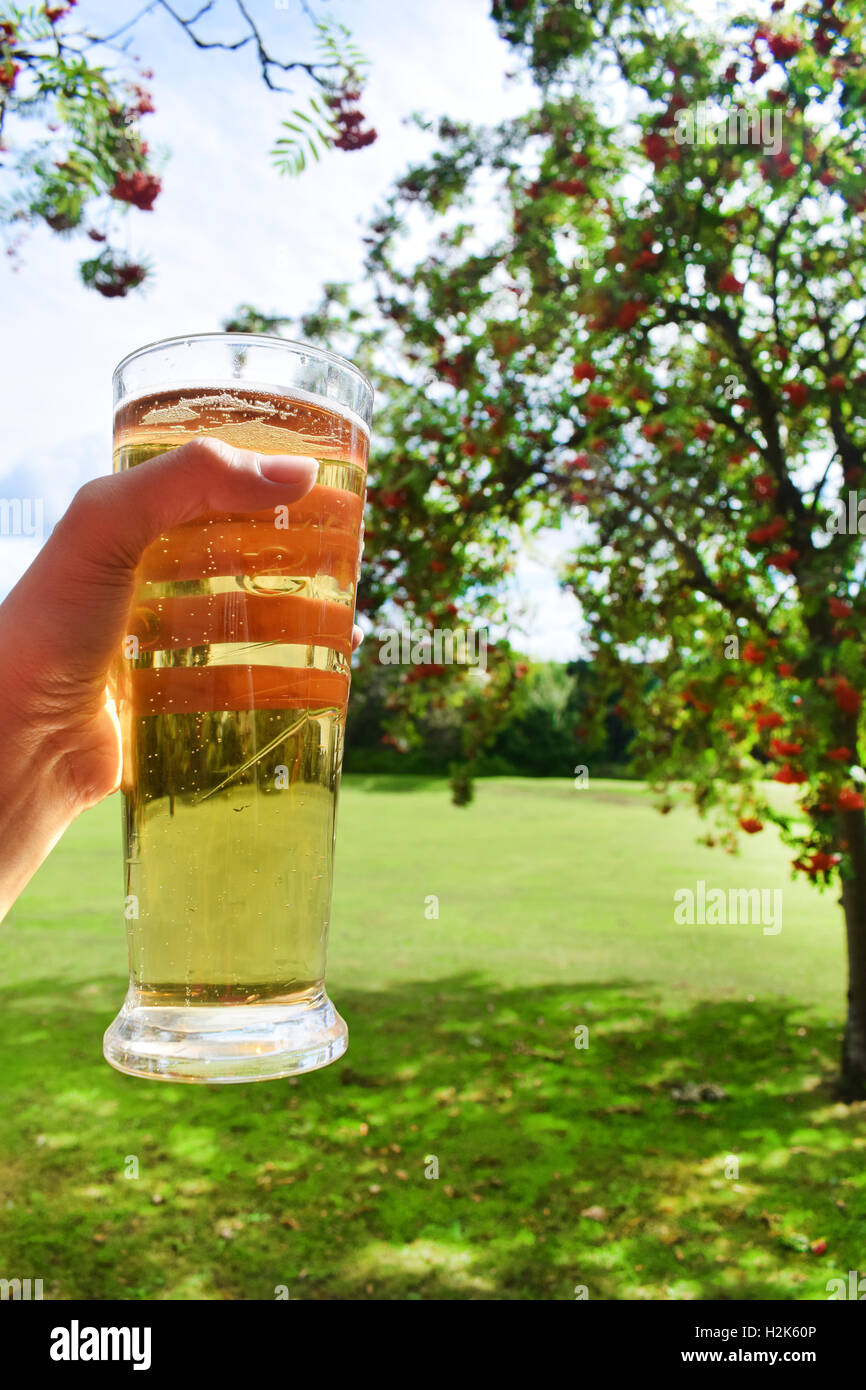 Pnt di birra iina giardino in una giornata d'estate Foto Stock