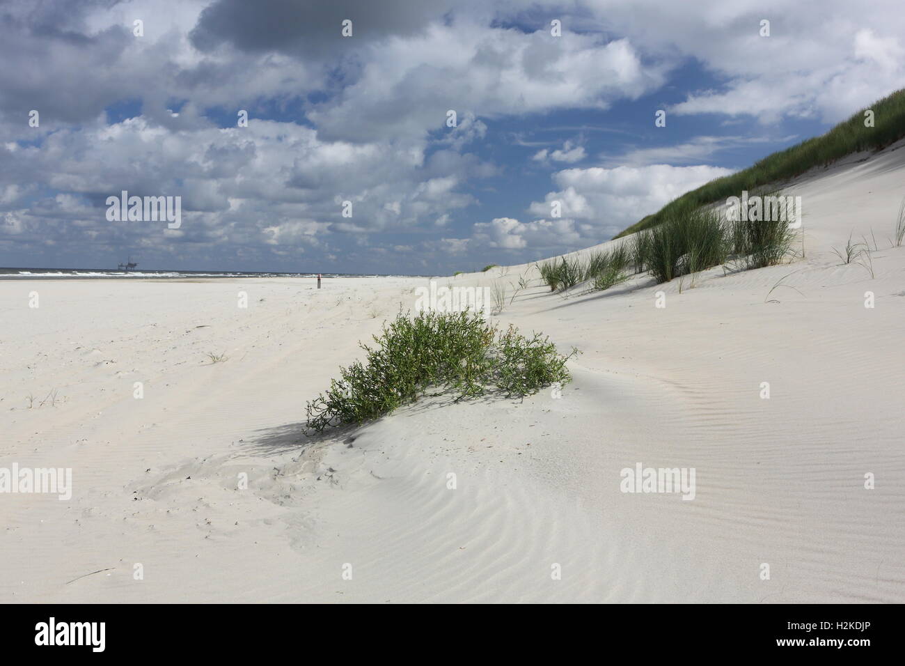 Dune su isola di Ameland, Paesi Bassi, Europa Foto Stock