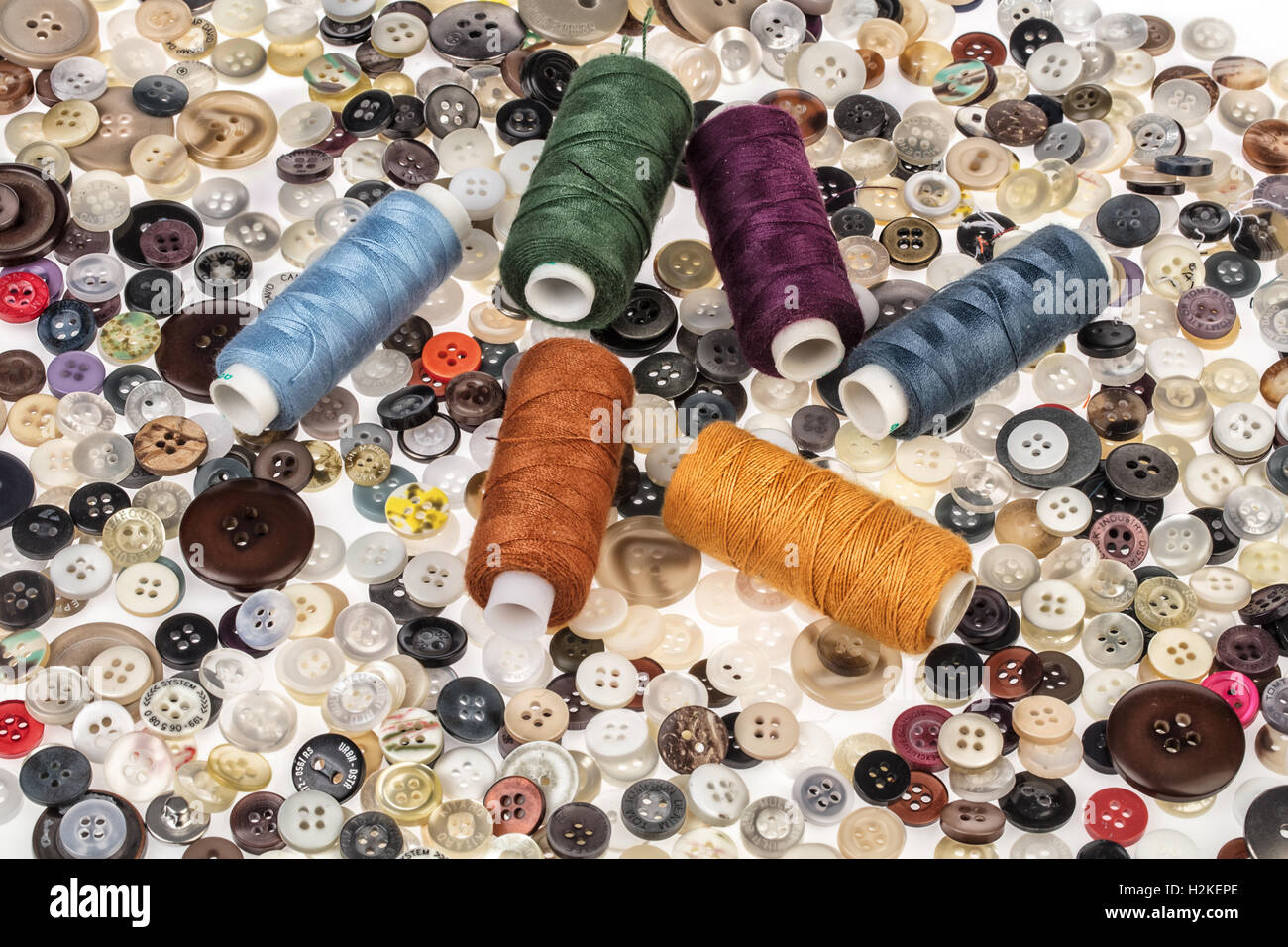 I pulsanti e i thread su un isolato di sfondo per studio Foto Stock