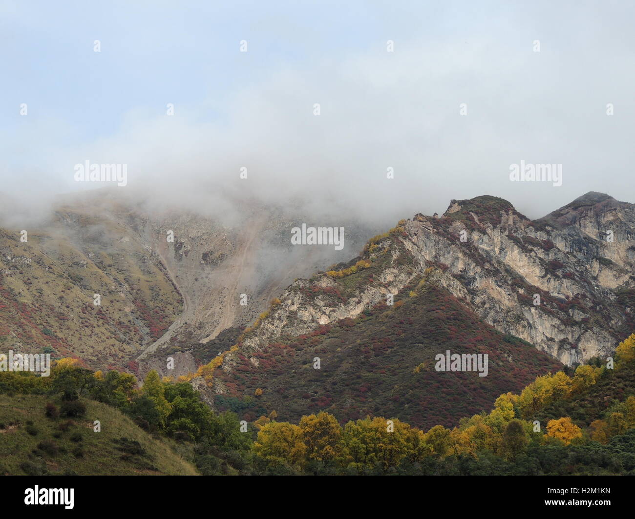 Xining, Xining, Cina. 29Sep, 2016. Xining, CINA-Settembre 29 2016:?(Editorial?uso?Solo.?CINA?OUT) scenario autunnale di Qunjia National Forest Park nella contea di Huangzhong, Xining Città, Northwest Cina¡Â¯s Provincia di Qinghai, 29 settembre 2016. Come arriva l'autunno, le foglie degli alberi girare varie sfumature di color ruggine e rosso, creando uno splendido scenario. © SIPA Asia/ZUMA filo/Alamy Live News Foto Stock