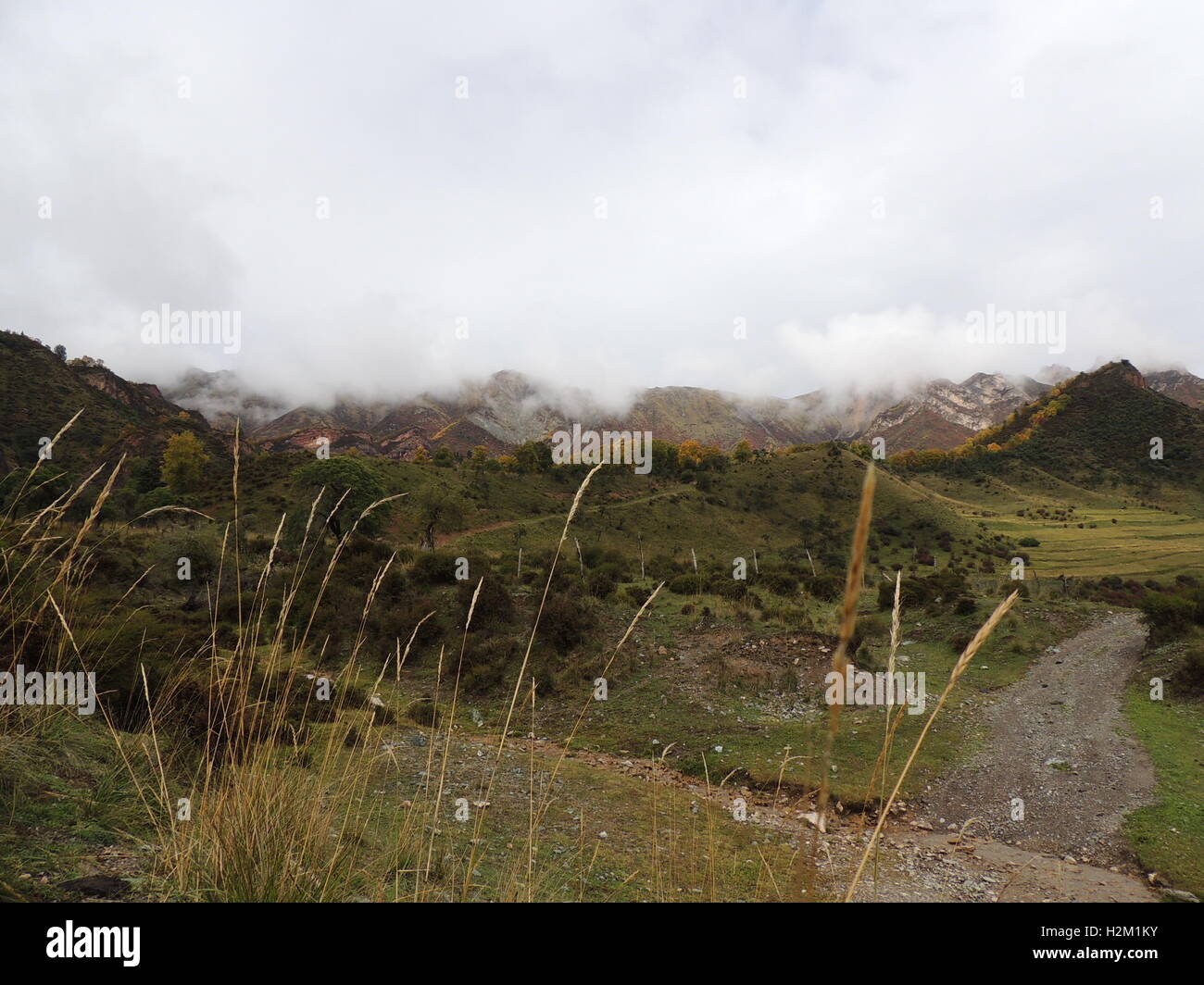 Xining, Xining, Cina. 29Sep, 2016. Xining, CINA-Settembre 29 2016:?(Editorial?uso?Solo.?CINA?OUT) scenario autunnale di Qunjia National Forest Park nella contea di Huangzhong, Xining Città, Northwest Cina¡Â¯s Provincia di Qinghai, 29 settembre 2016. Come arriva l'autunno, le foglie degli alberi girare varie sfumature di color ruggine e rosso, creando uno splendido scenario. © SIPA Asia/ZUMA filo/Alamy Live News Foto Stock