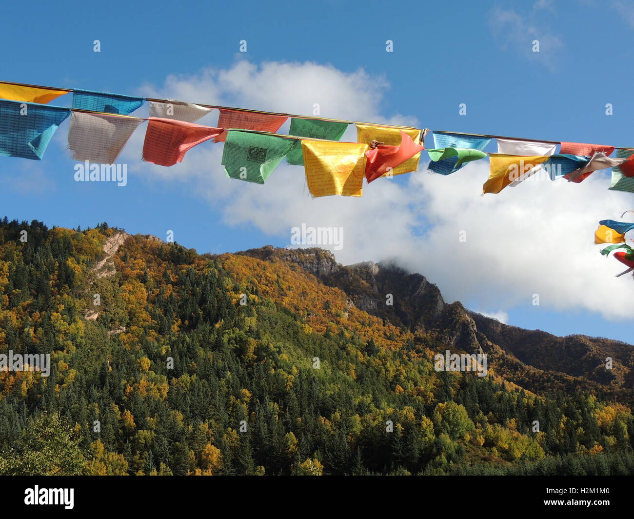 Xining, Xining, Cina. 29Sep, 2016. Xining, CINA-Settembre 29 2016:?(Editorial?uso?Solo.?CINA?OUT) scenario autunnale di Qunjia National Forest Park nella contea di Huangzhong, Xining Città, Northwest Cina¡Â¯s Provincia di Qinghai, 29 settembre 2016. Come arriva l'autunno, le foglie degli alberi girare varie sfumature di color ruggine e rosso, creando uno splendido scenario. © SIPA Asia/ZUMA filo/Alamy Live News Foto Stock