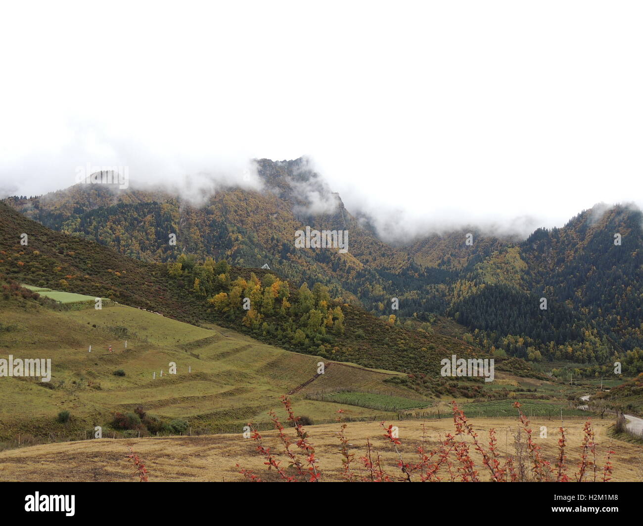 Xining, Xining, Cina. 29Sep, 2016. Xining, CINA-Settembre 29 2016:?(Editorial?uso?Solo.?CINA?OUT) scenario autunnale di Qunjia National Forest Park nella contea di Huangzhong, Xining Città, Northwest Cina¡Â¯s Provincia di Qinghai, 29 settembre 2016. Come arriva l'autunno, le foglie degli alberi girare varie sfumature di color ruggine e rosso, creando uno splendido scenario. © SIPA Asia/ZUMA filo/Alamy Live News Foto Stock