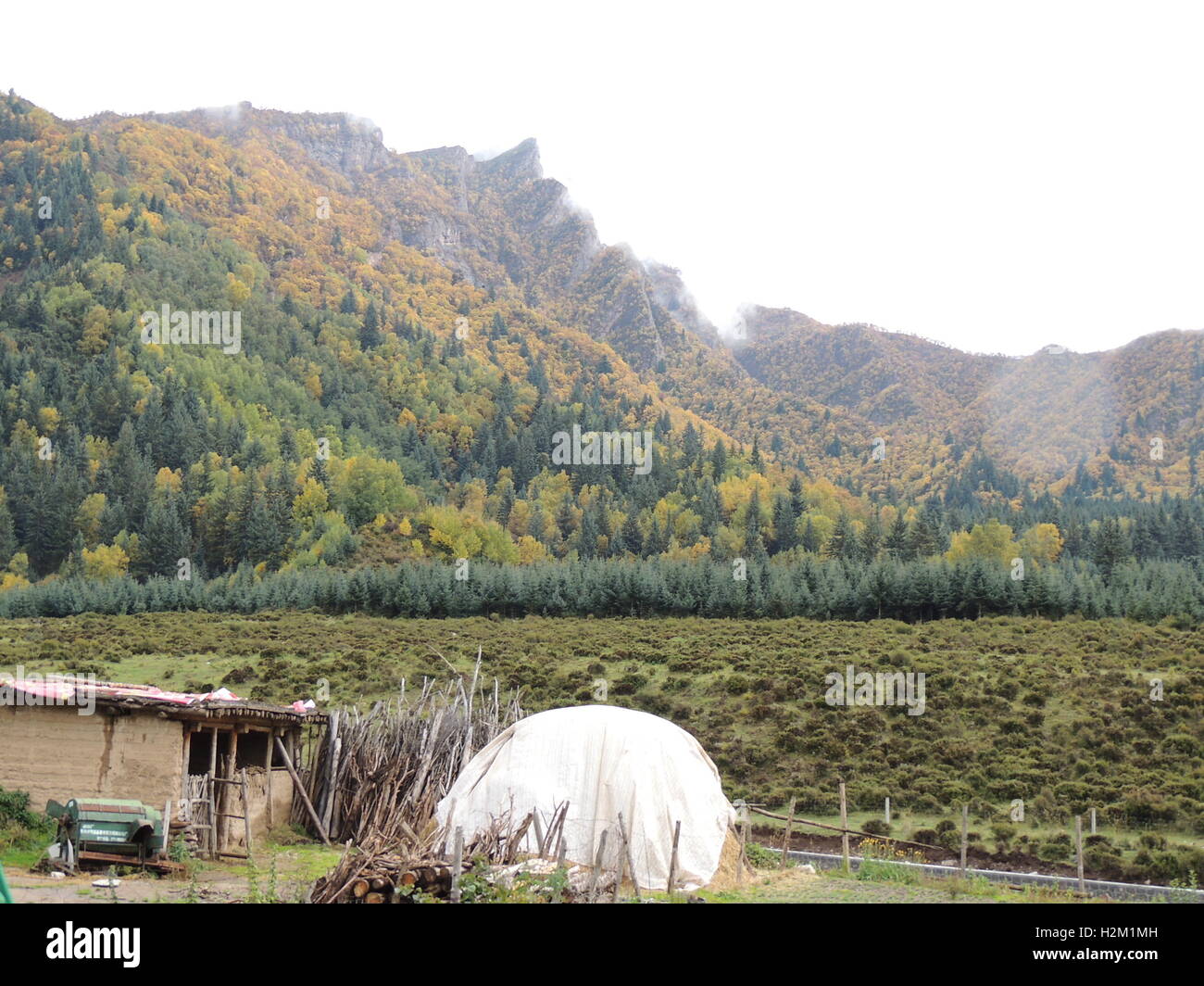 Xining, Xining, Cina. 29Sep, 2016. Xining, CINA-Settembre 29 2016:?(Editorial?uso?Solo.?CINA?OUT) scenario autunnale di Qunjia National Forest Park nella contea di Huangzhong, Xining Città, Northwest Cina¡Â¯s Provincia di Qinghai, 29 settembre 2016. Come arriva l'autunno, le foglie degli alberi girare varie sfumature di color ruggine e rosso, creando uno splendido scenario. © SIPA Asia/ZUMA filo/Alamy Live News Foto Stock