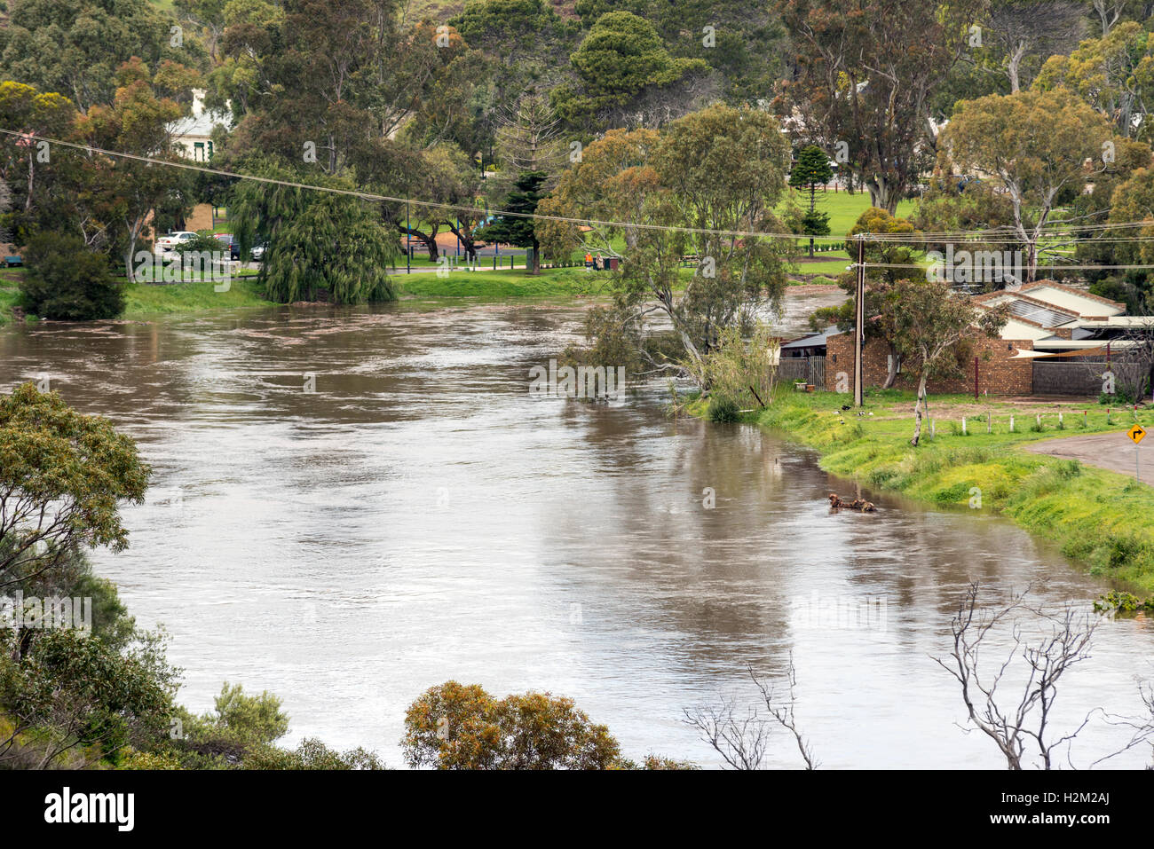 Old Noarlunga, Sud Australia. 30 Settembre, 2016. L'alluvione gonfio fiume Onkaparinga minaccia case in Old Noarlunga, a sud di Adelaide, come il più grande tempesta in 50 anni colpisce il Sud Australia. Credito: Raymond Warren/Alamy Live News Foto Stock