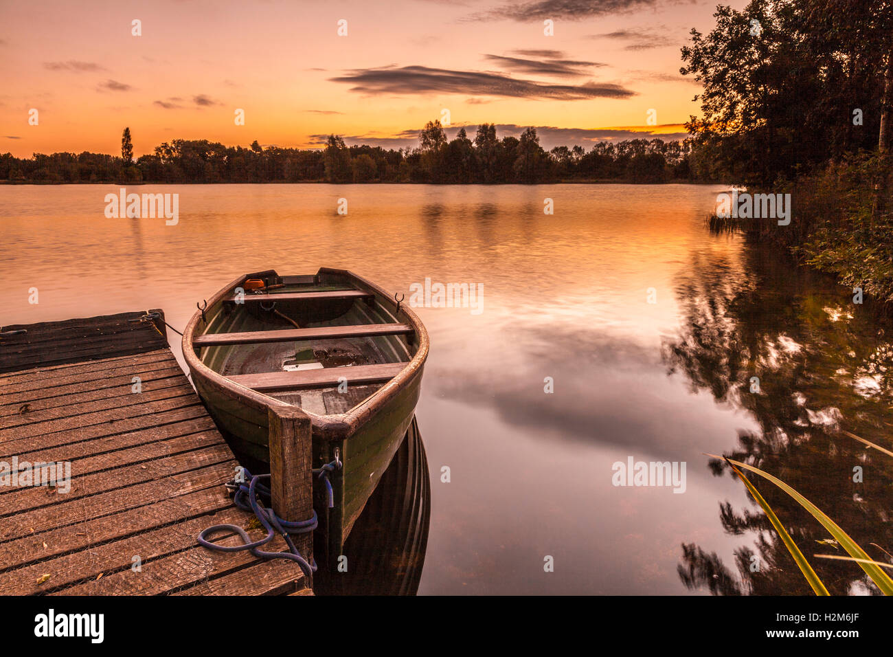 Tarda estate sunrise su uno dei laghi a Cotswold Water Park Foto Stock