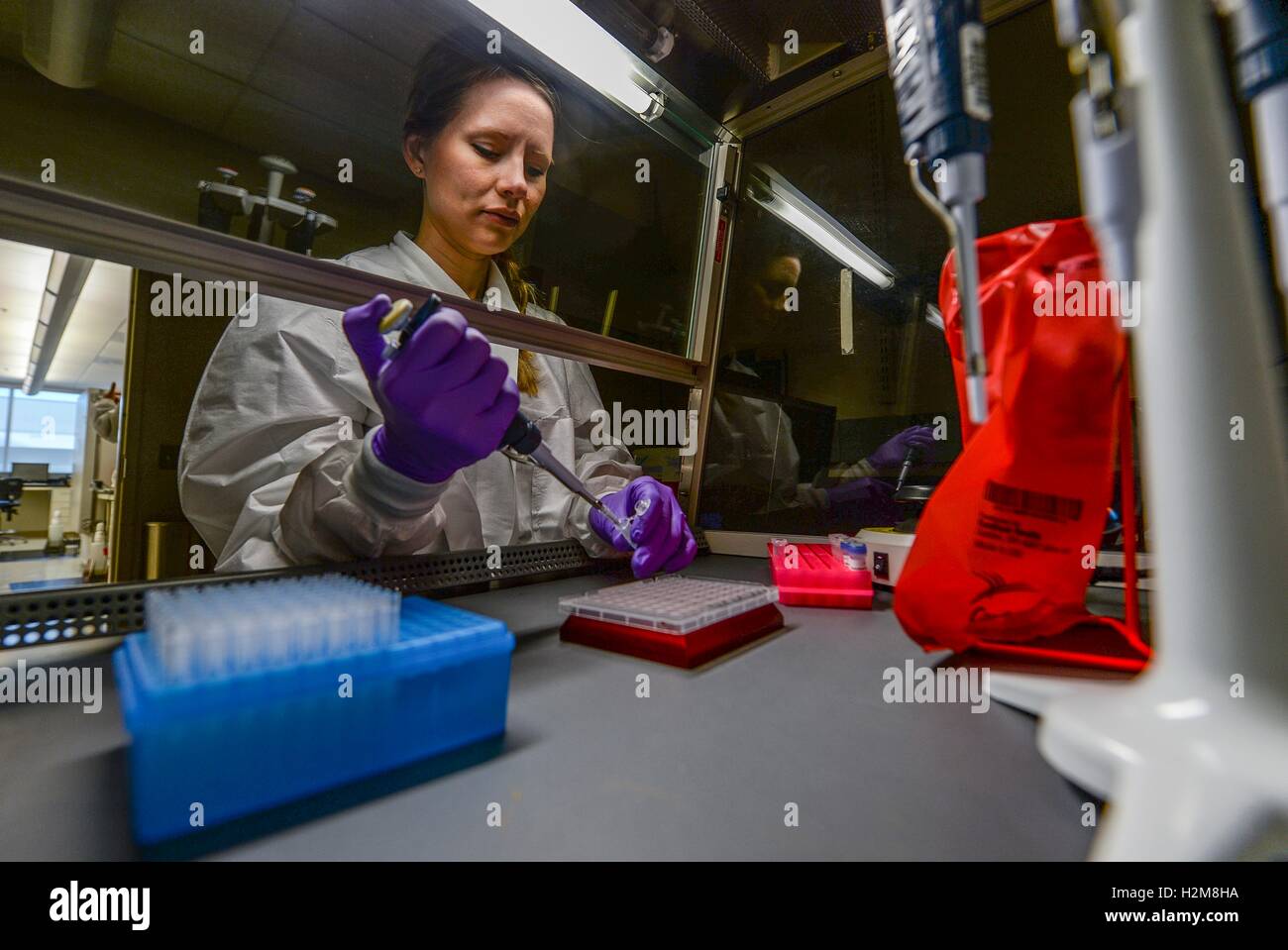 Uno scienziato umano preleva campioni biologici in una cappa di laboratorio di prova per i virus Zika presso il Laboratorio di Epidemiologia all'Wright-Patterson Air Force Base di Aprile 20, 2016 a Dayton, Ohio. Foto Stock
