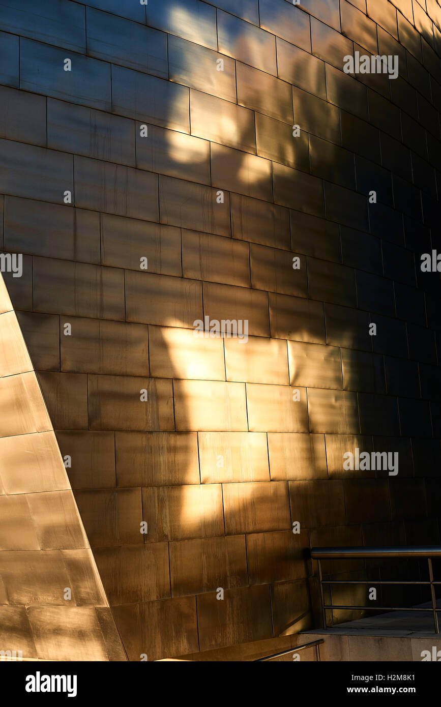 Il titanio di luci e di ombre, Guggenheim di Bilbao, Biscaglia, Paese Basco, Euskadi, Spagna, Europa Foto Stock
