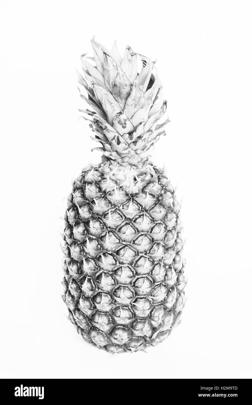 Ananas frutta isolato in bianco e nero Foto Stock
