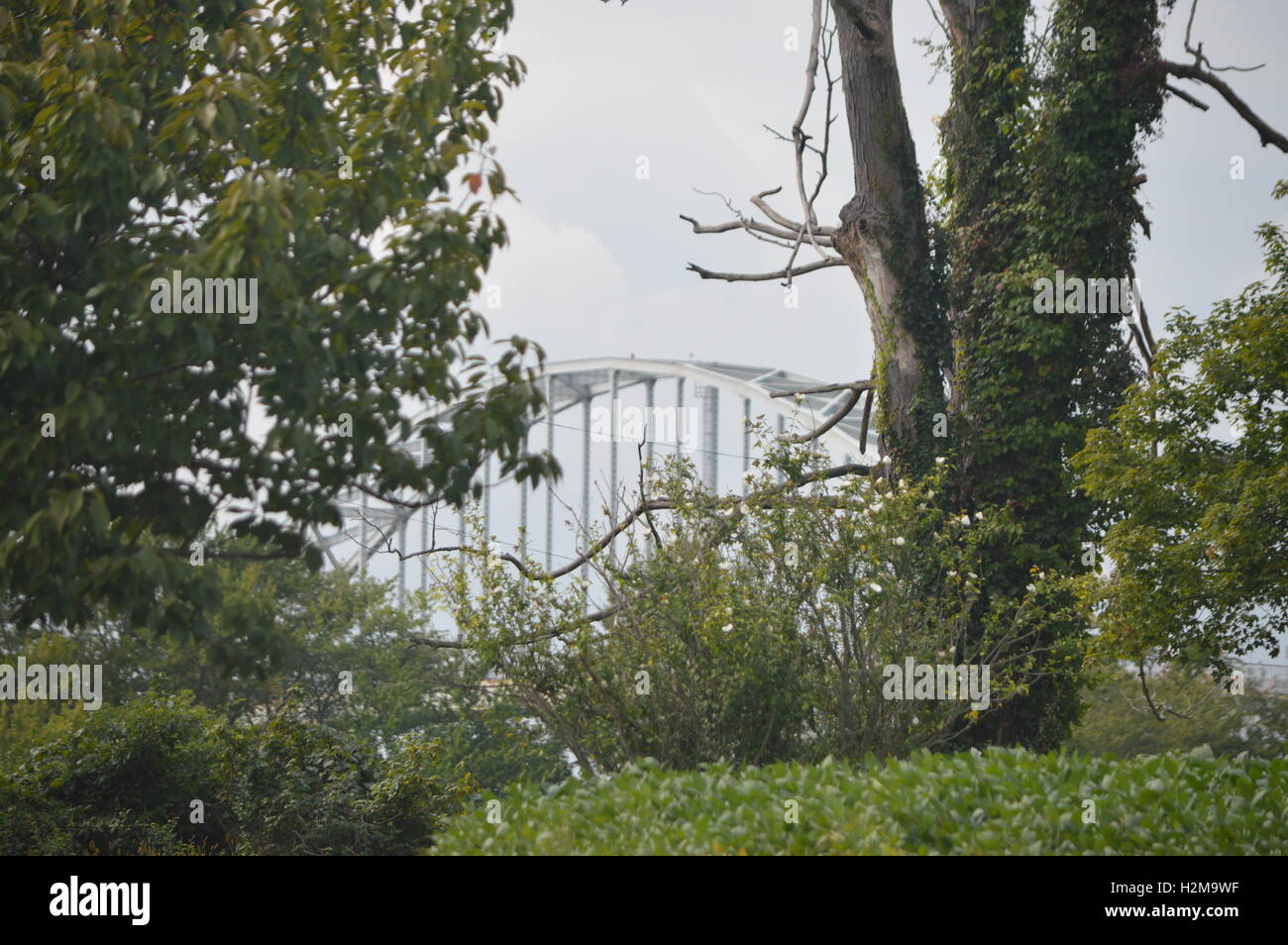 Un grande albero morto è raffigurato nella parte anteriore del Rt. 213 ponte al di sopra della C&D Canal a Chesapeake City, Maryland. Foto Stock