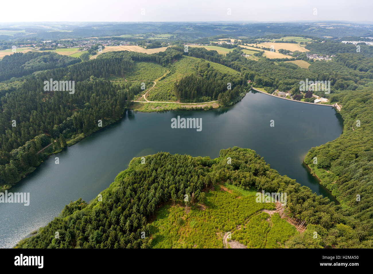 Vista aerea, Hasper dam, Hagen, vista aerea di Hagen, serbatoio, dam, isola, foresta, natura, bosco di latifoglie vista aerea Foto Stock