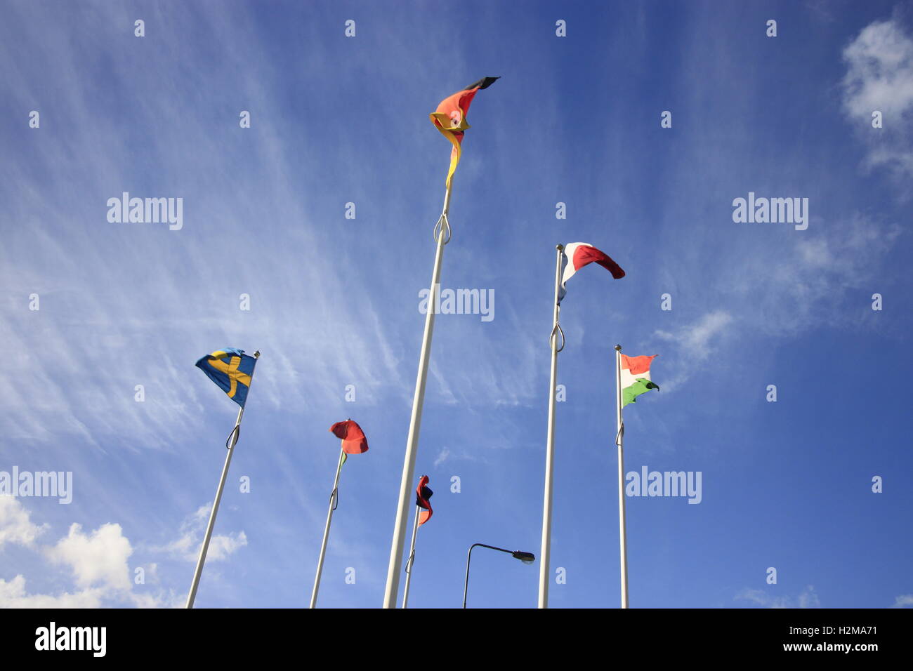 Unione Europea bandiere internazionali in Hull contro un cielo blu con nuvole wispy. Foto Stock