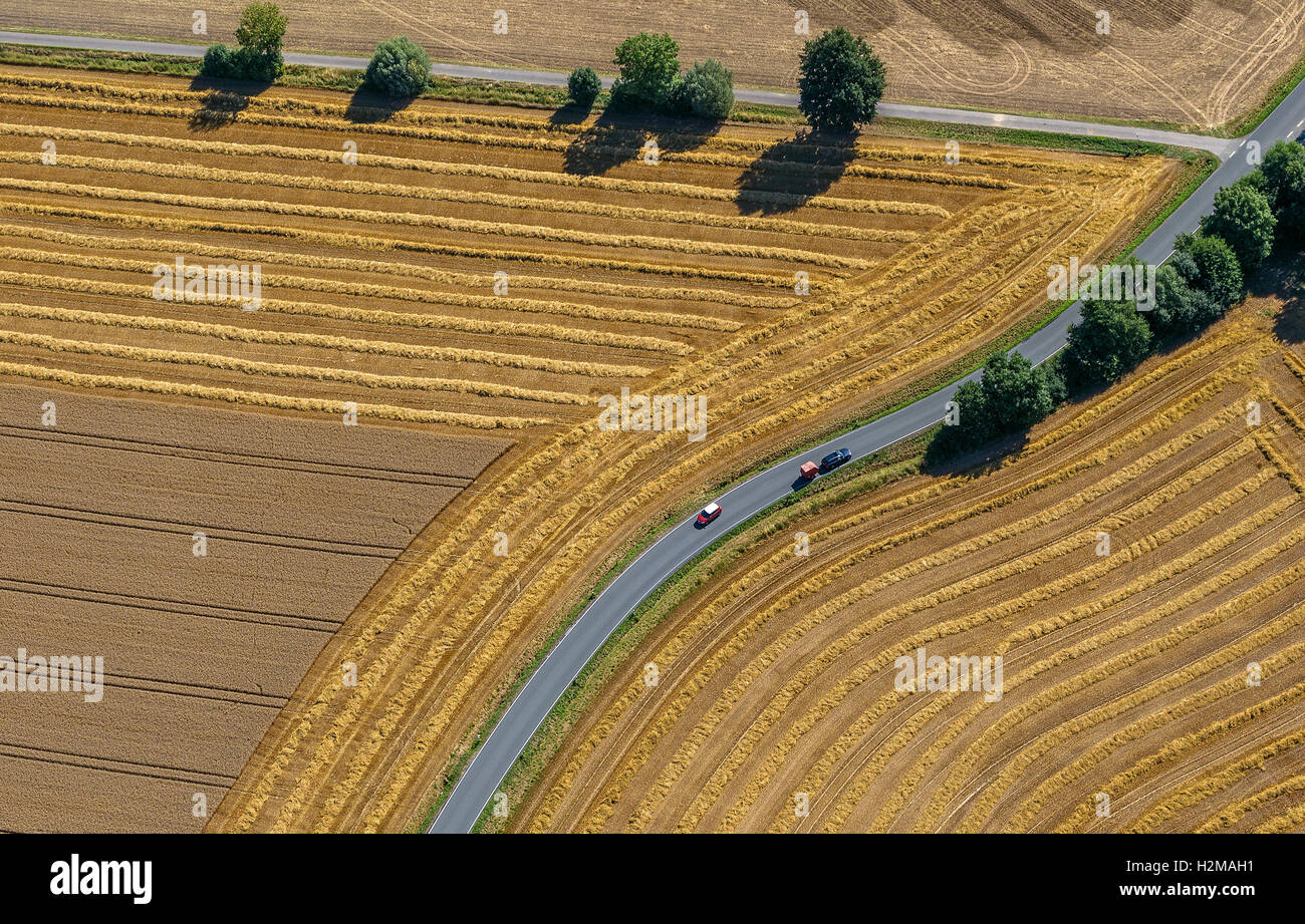Fotografia aerea, su strada forcella, incrocio stradale, raccolti i campi, strade di campagna, curva, Welver, Basso Reno, Foto Stock
