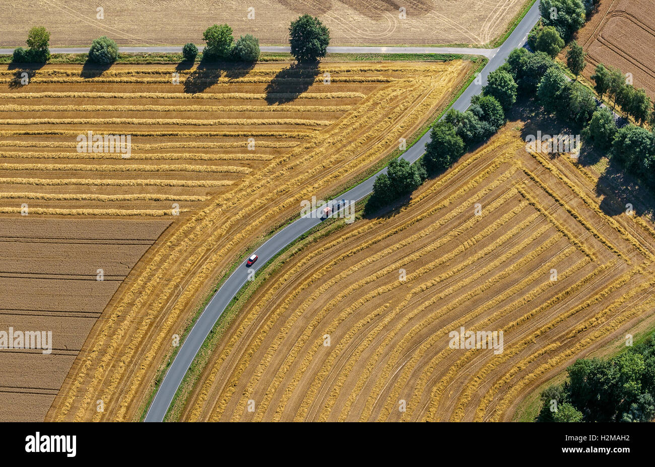 Fotografia aerea, su strada forcella, incrocio stradale, raccolti i campi, strade di campagna, curva, Welver, Basso Reno, Foto Stock