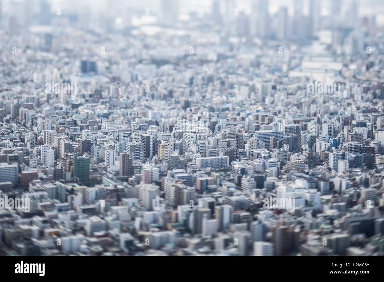 Tilt-shift vista panoramica di Tokyo cityscape, Tokyo, Giappone Foto Stock
