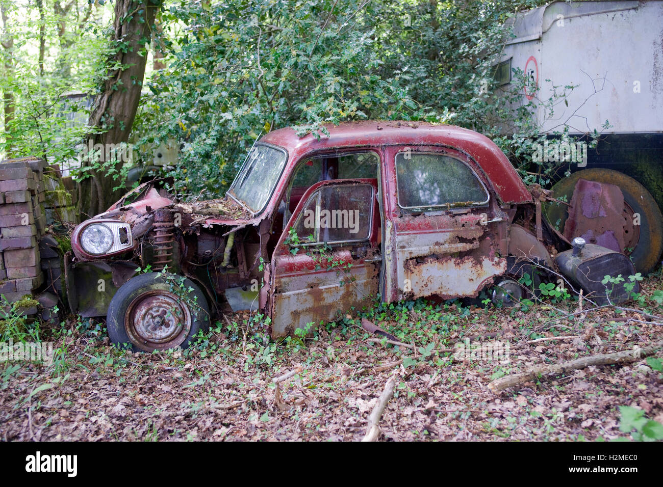 Vecchio arrugginito auto abbandonate nei boschi Foto Stock