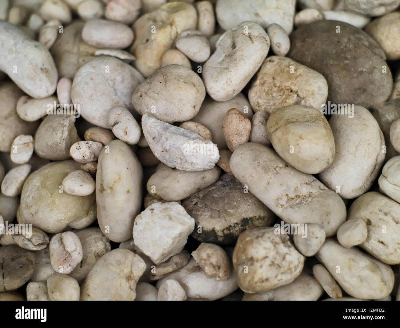 Closeup colpo di un mucchio di ciottoli bianchi e grigi in diverse forme e dimensioni Foto Stock