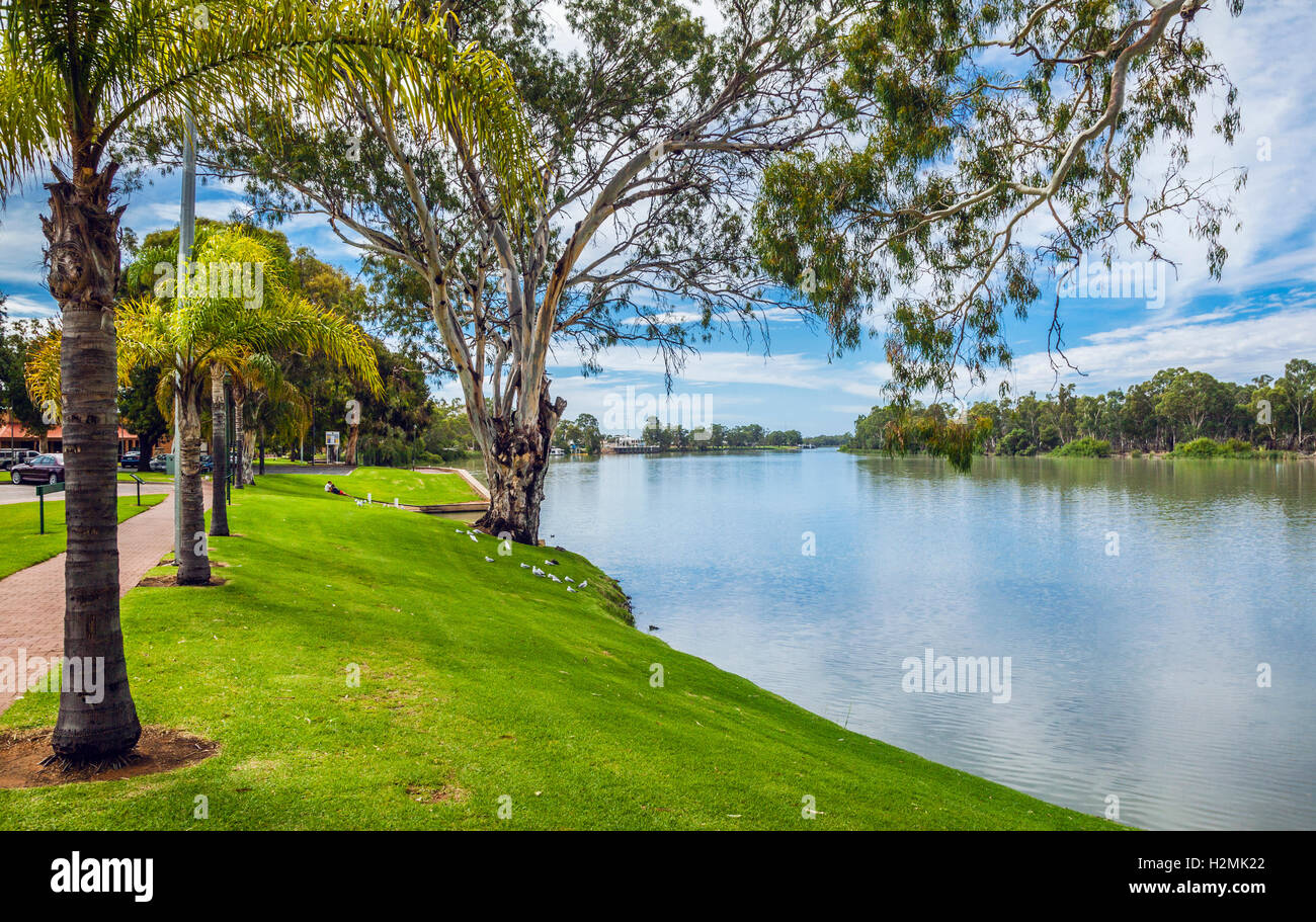 Il South Australia, Renmark, idilliaco Mutulick Riverfront a piedi lungo il fiume Murray Foto Stock