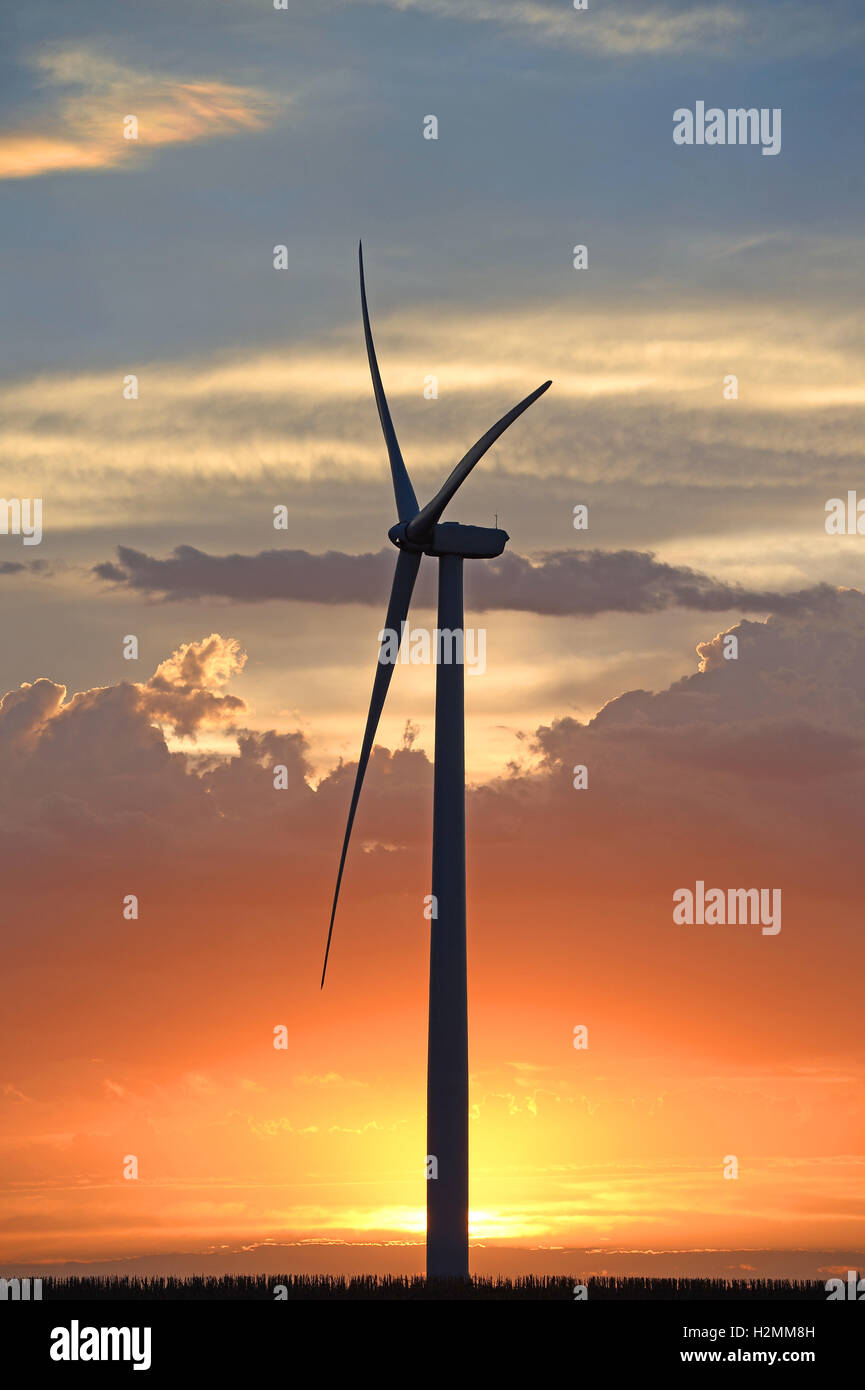 Turbina eolica al tramonto con il cielo colorato Foto Stock