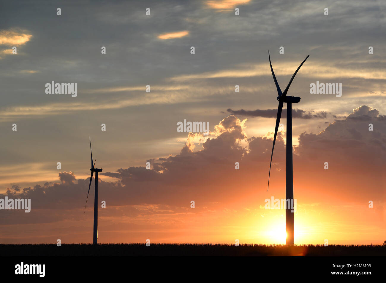 Le turbine eoliche sulla terra piatta durante il tramonto Foto Stock