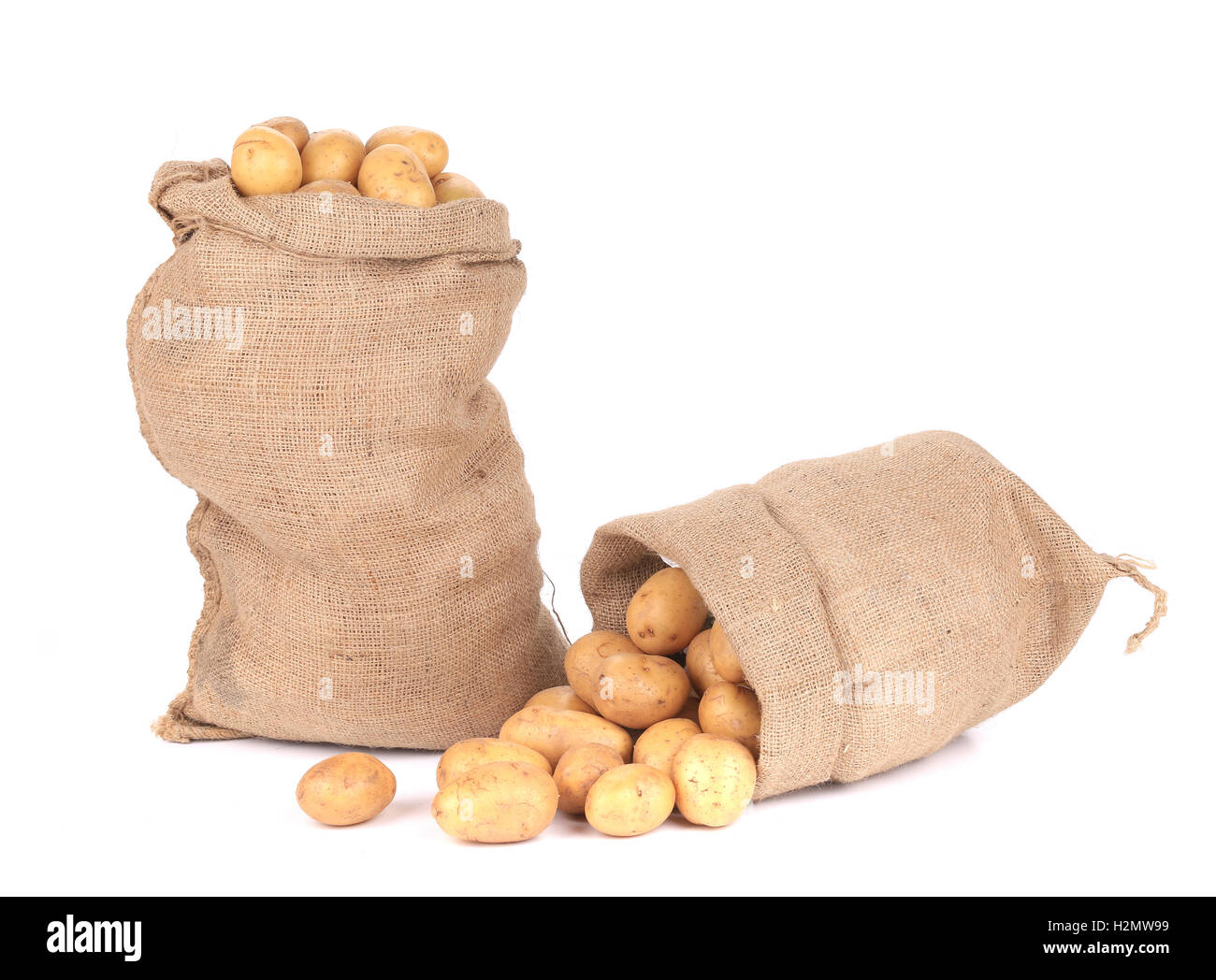 Due sacchi di tela con patate. Foto Stock