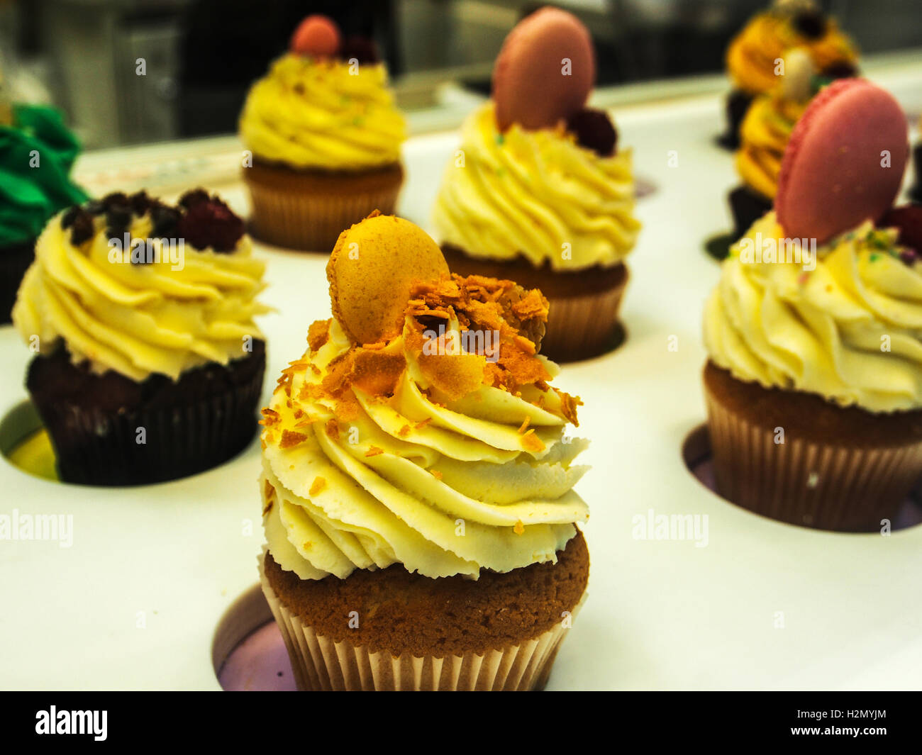 Tortini colorati su un display in pasticceria shop Foto Stock